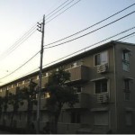 フレア光が丘