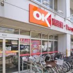 スーパー オーケー小茂根店 190m(周辺)