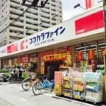 ドラッグストア ココカラファイン　江古田店 171m(周辺)