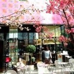 飲食店 カフェ桜 182m(周辺)