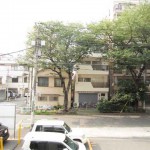 緑が見える眺望！