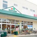 スーパー マルエツ新江古田駅前店 196m(周辺)